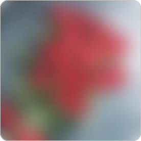 Blurry or Hazy vision